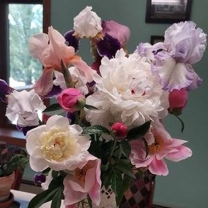 Meet your Posher, Joyce